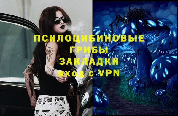 дживик Наволоки