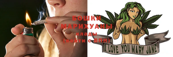 бошки Бородино