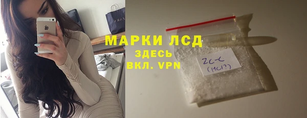бошки Бородино