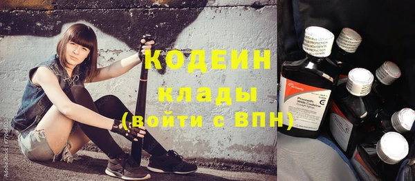 бошки Бородино
