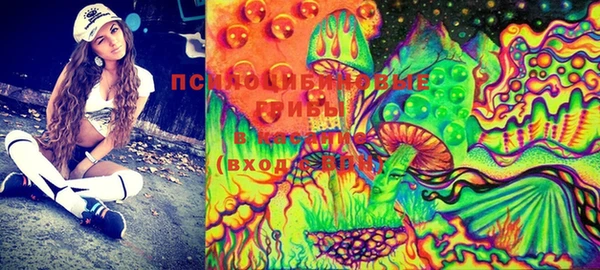 ешки Бугульма