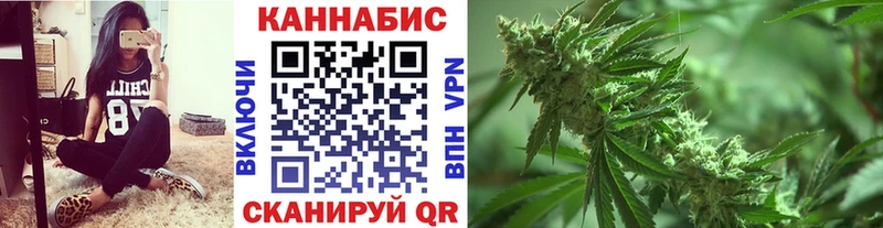 Каннабис семена  где купить наркотик  мега ссылка  Грайворон 